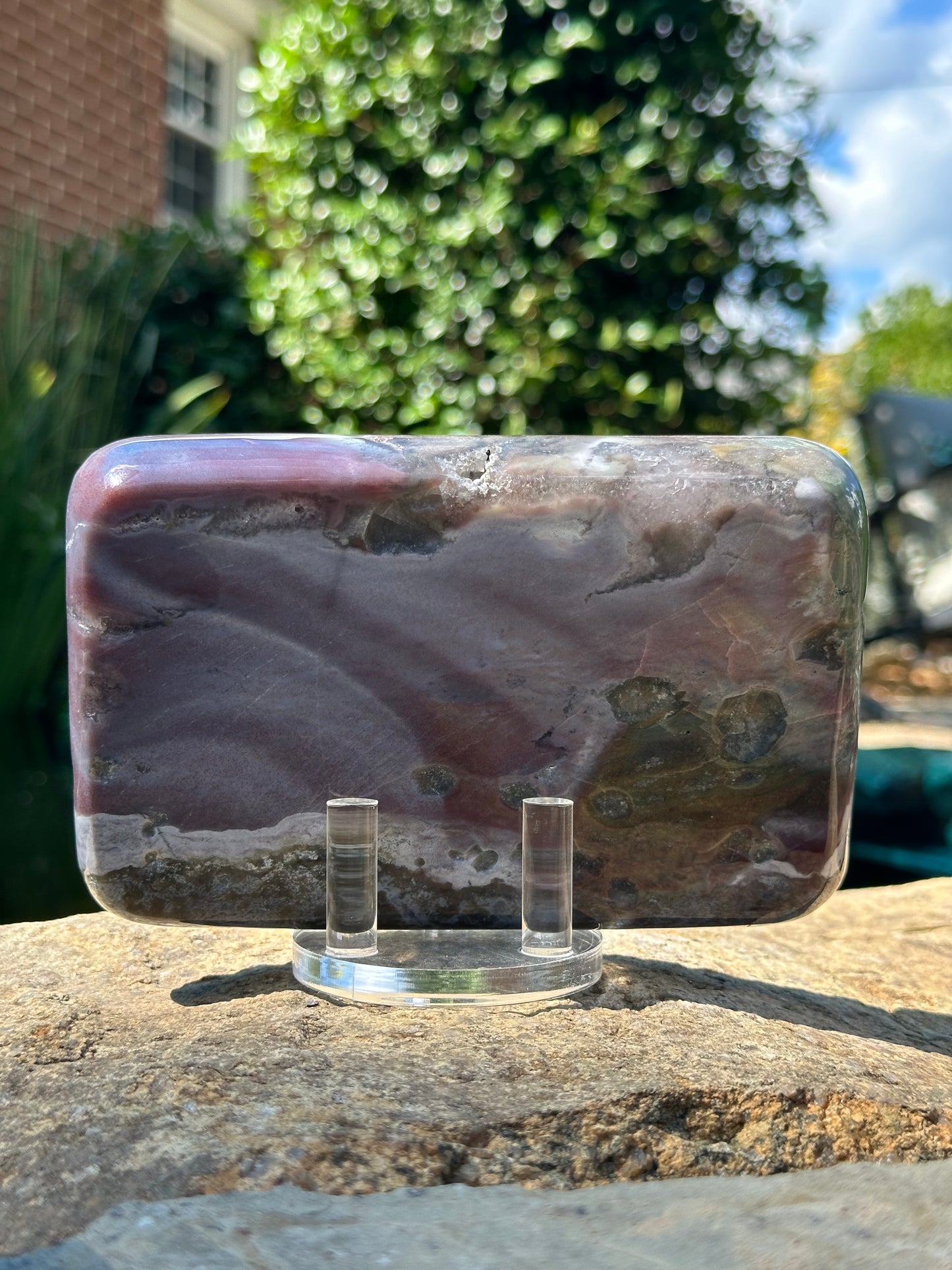 Ocean Jasper Plate "C"