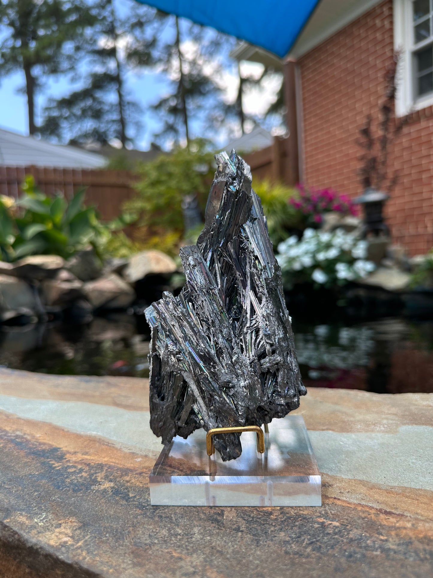 Irridescent Stibnite w/ Stand