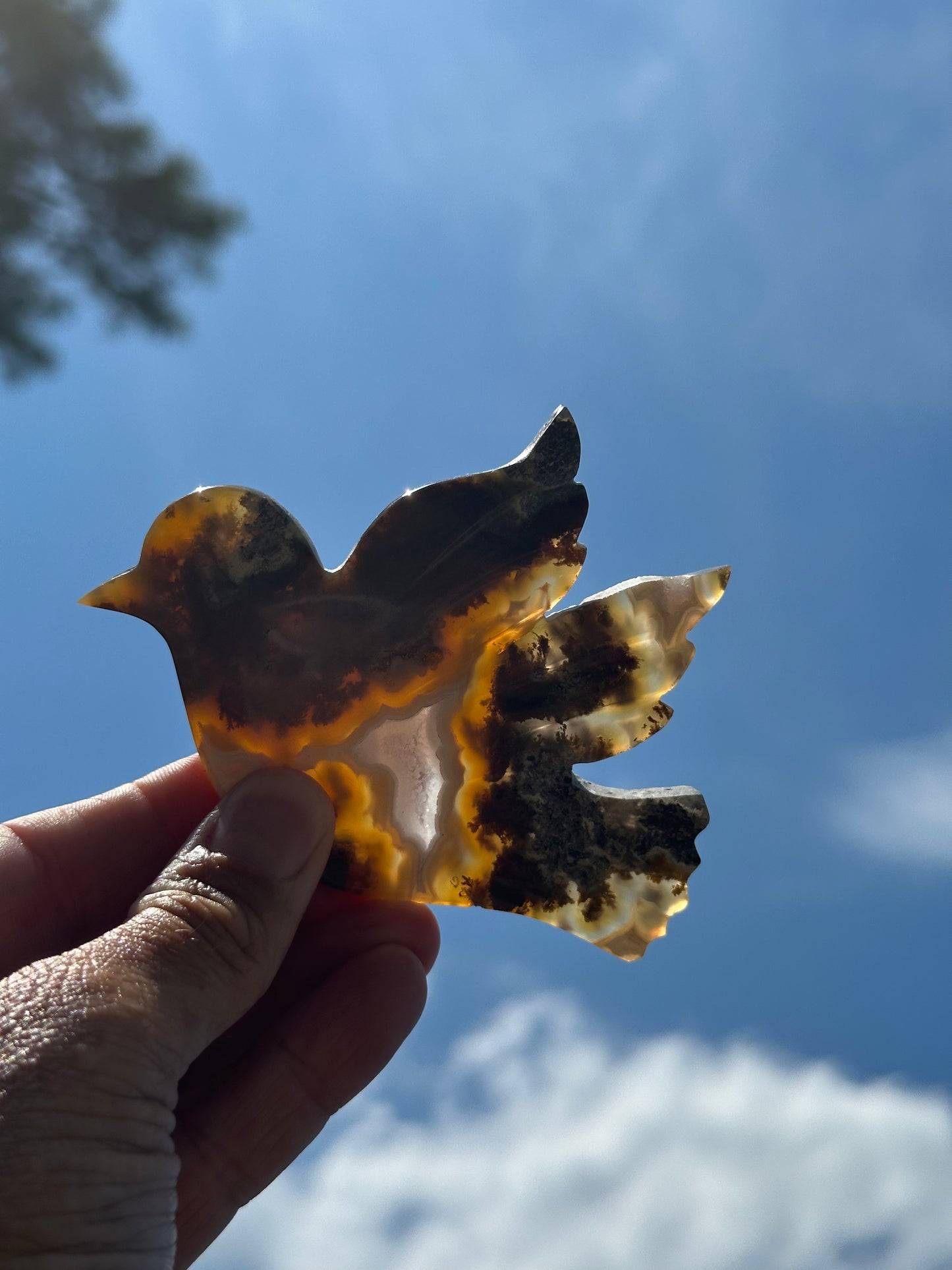 Scenic Moss Agate Bird “A”