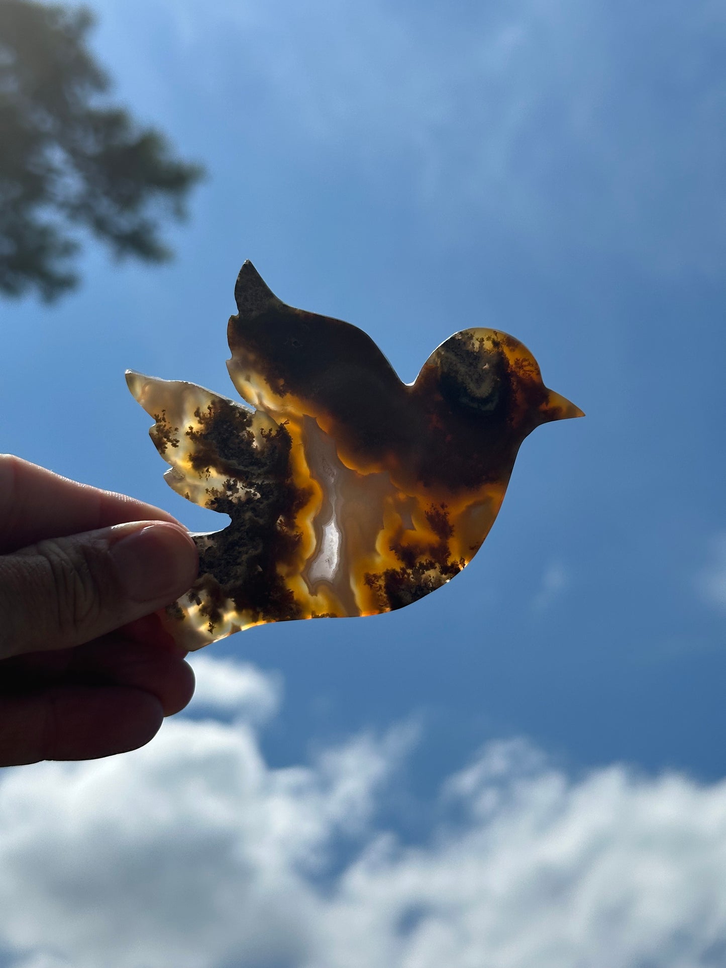 Scenic Moss Agate Bird “A”